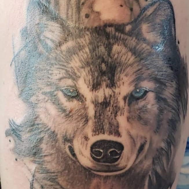 Tattoo of a detailed wolf
